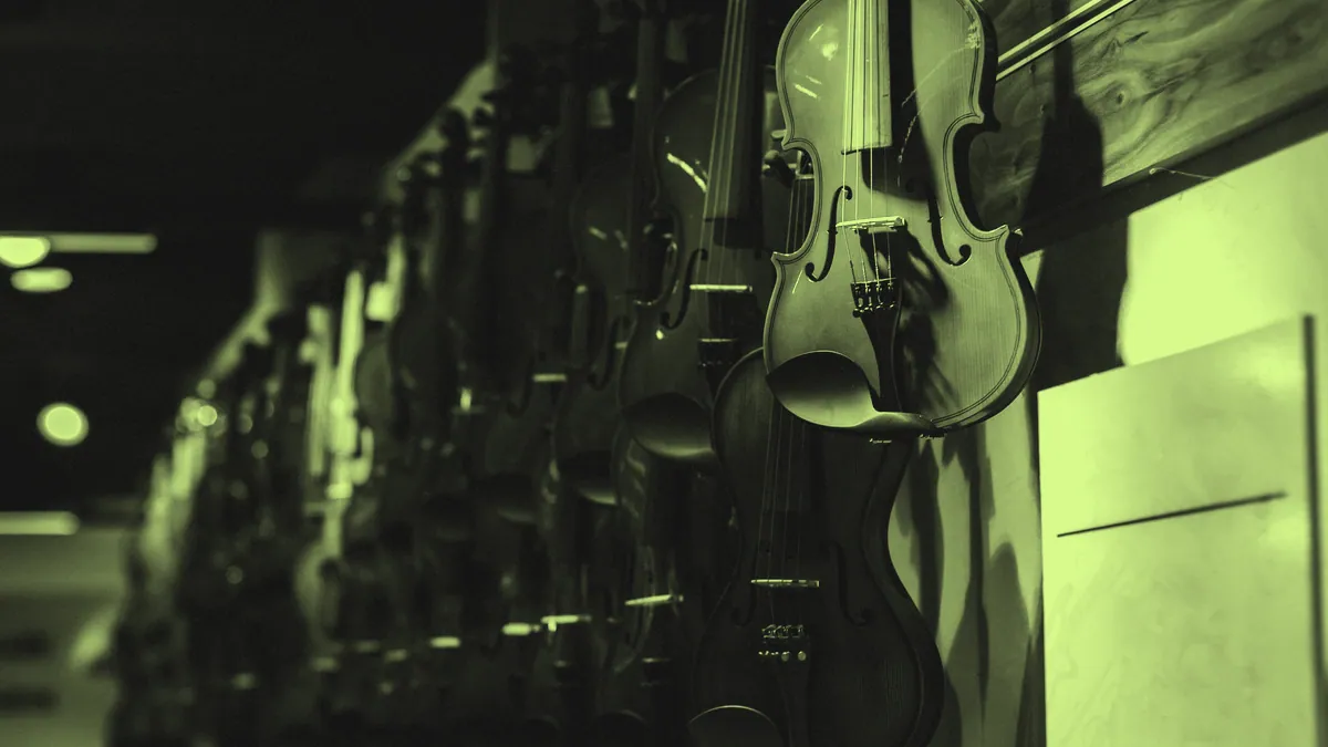 String instruments of the orchestra.